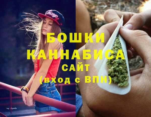 гидра Алексеевка